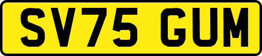 SV75GUM