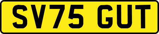 SV75GUT