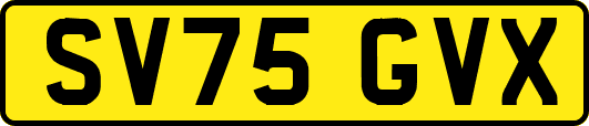 SV75GVX