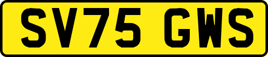 SV75GWS
