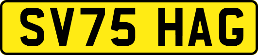 SV75HAG