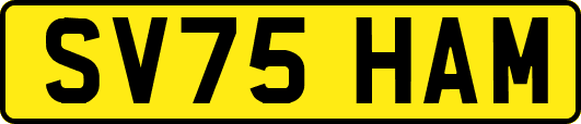 SV75HAM
