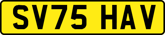 SV75HAV