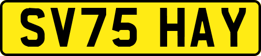 SV75HAY