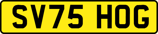 SV75HOG