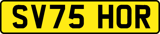 SV75HOR