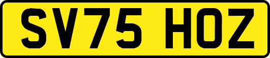 SV75HOZ