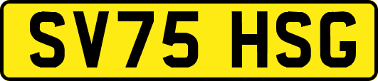 SV75HSG