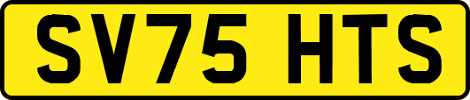 SV75HTS