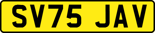 SV75JAV