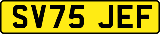 SV75JEF