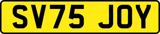 SV75JOY
