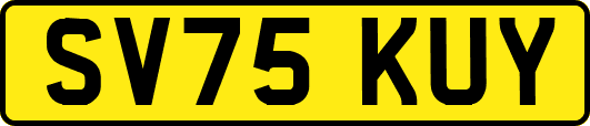 SV75KUY