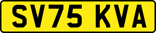 SV75KVA