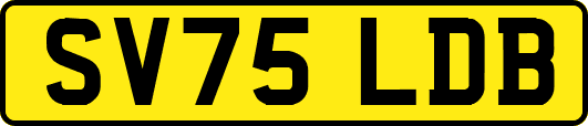 SV75LDB