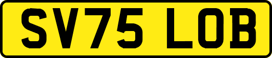 SV75LOB