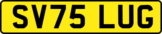 SV75LUG