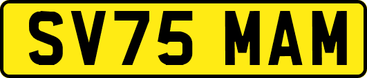 SV75MAM
