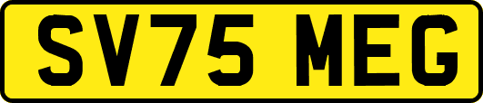 SV75MEG