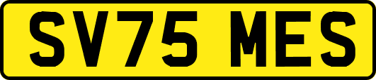SV75MES
