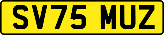 SV75MUZ