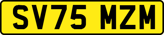 SV75MZM