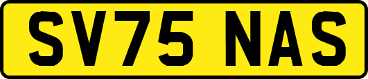 SV75NAS