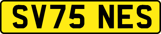 SV75NES