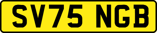 SV75NGB