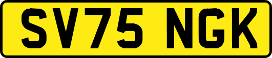 SV75NGK