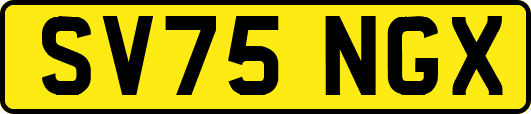 SV75NGX