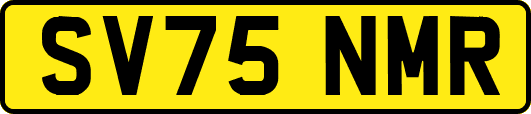 SV75NMR