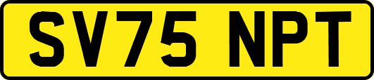 SV75NPT