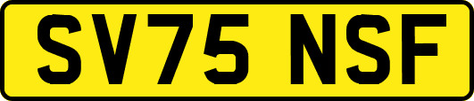 SV75NSF