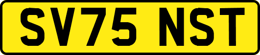 SV75NST