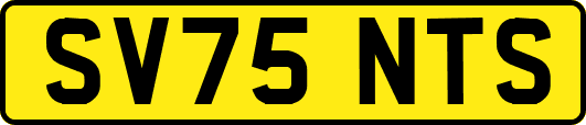 SV75NTS