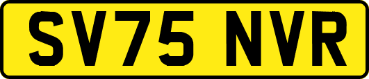 SV75NVR