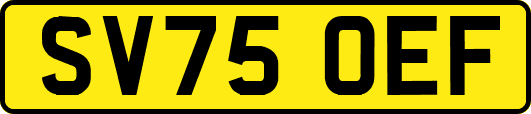 SV75OEF