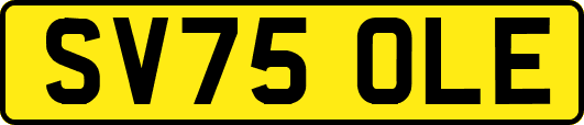 SV75OLE