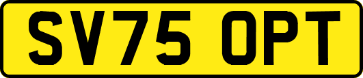 SV75OPT