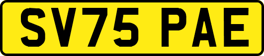 SV75PAE