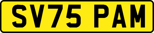 SV75PAM