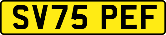 SV75PEF