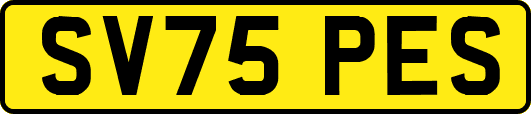SV75PES