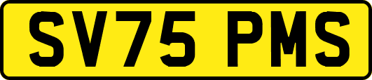 SV75PMS