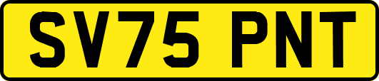 SV75PNT