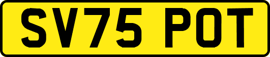 SV75POT