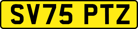 SV75PTZ