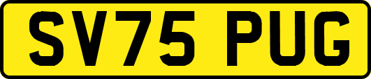 SV75PUG