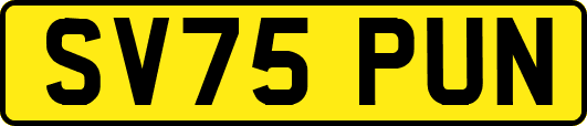 SV75PUN